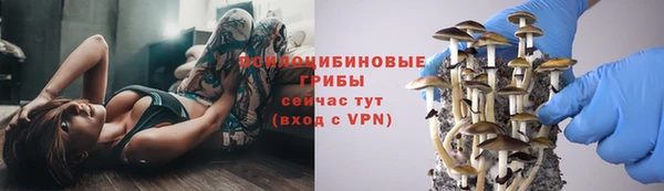 кристаллы Богородицк