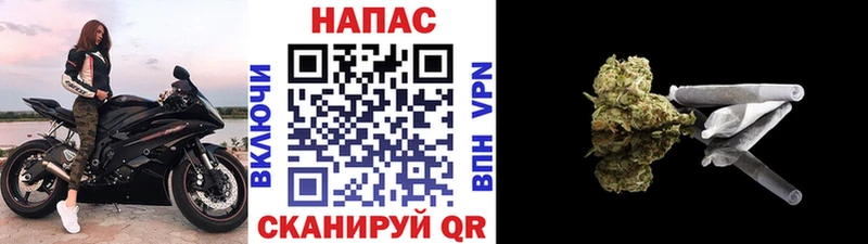 Марихуана семена  цена   Меленки 